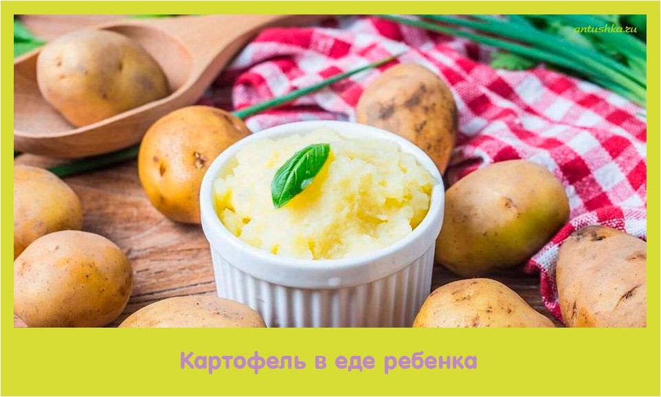 картофель, ребенок